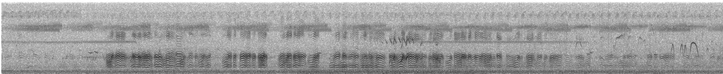 Anserelle de Coromandel - ML86119471