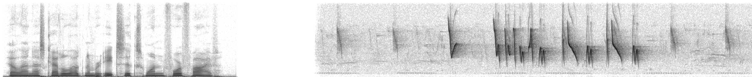 Errekatxindorra - ML86145