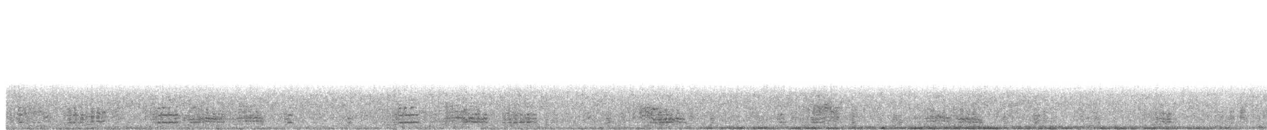ברנטה כהה (אטלנטית) - ML86163631