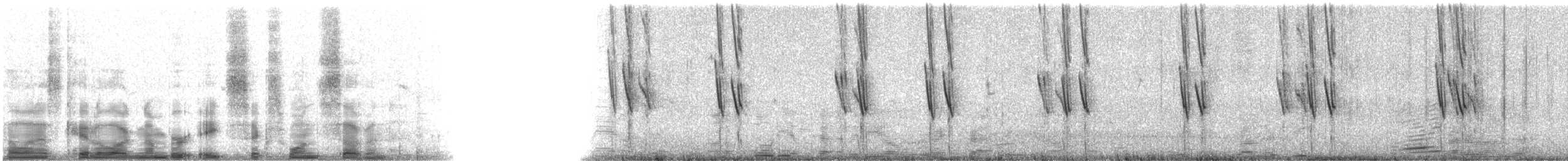 Violet-green Swallow - ML8617