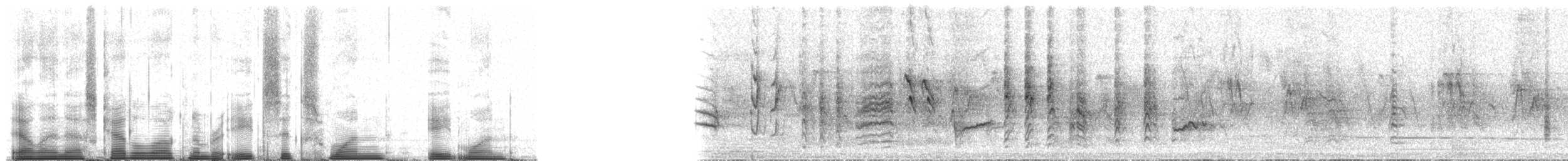 Western Olivaceous Warbler - ML86181