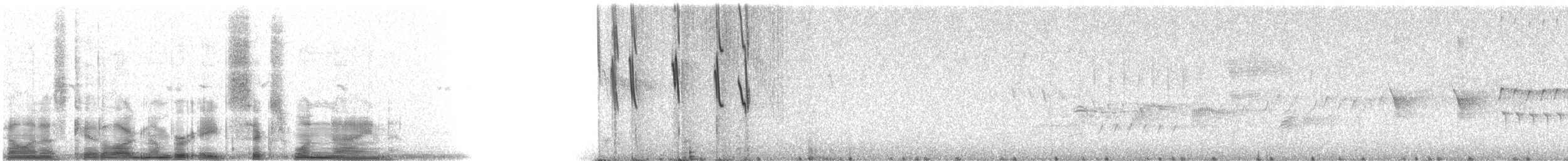 Violet-green Swallow - ML8619