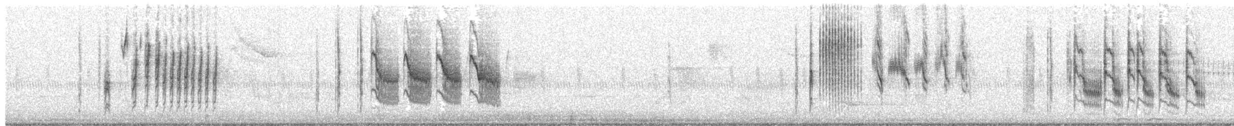 Grass Wren - ML86256291