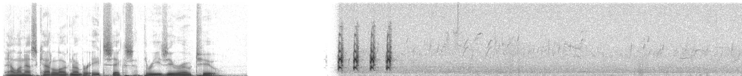 halsbåndfrankolin - ML86302