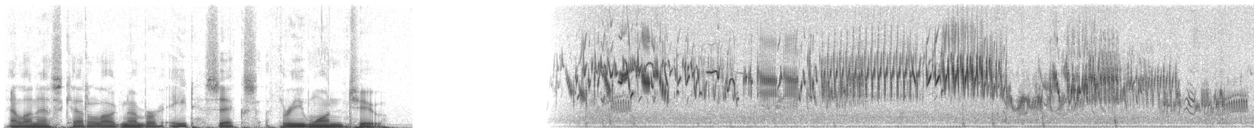 Kalanderlerche - ML86312