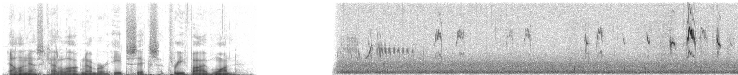 Bergpieper (coutellii) - ML86351