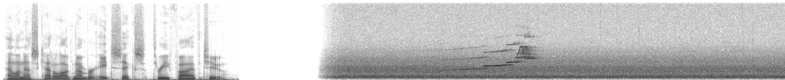Caspian Snowcock - ML86352