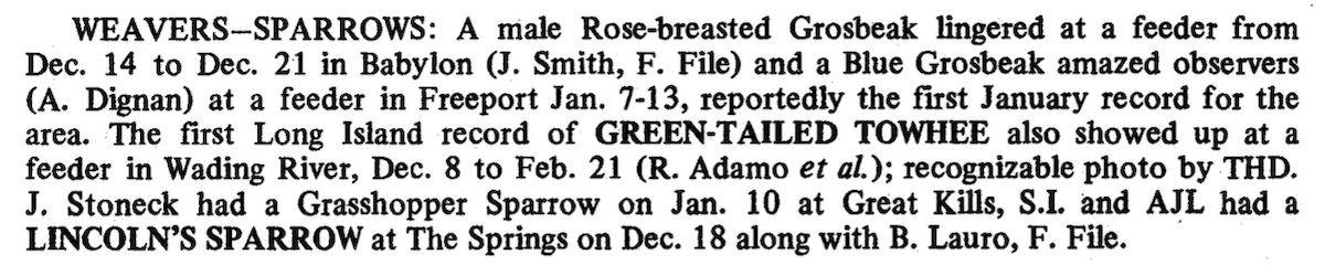 Grasshopper Sparrow - ML86367951