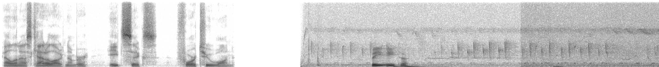 マダガスカルハチクイ - ML86421