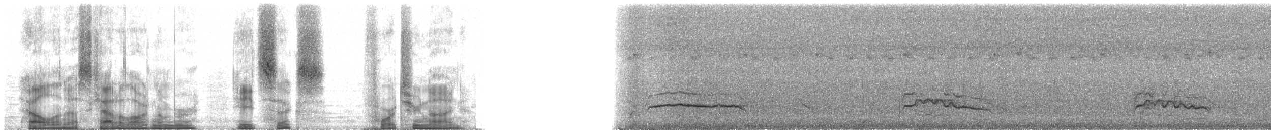 káně madagaskarská - ML86429