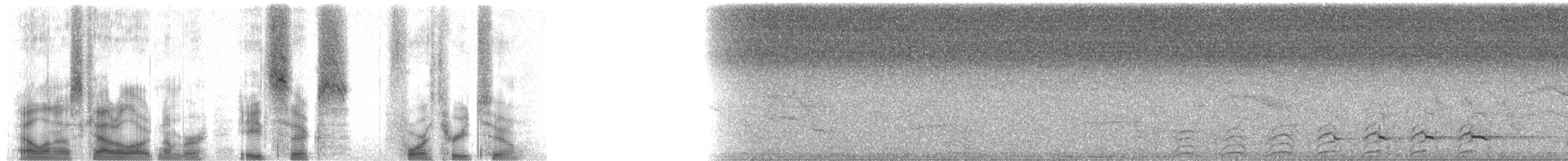 Broad-billed Roller - ML86432