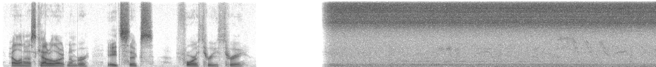 Madagascar Fish-Eagle - ML86433