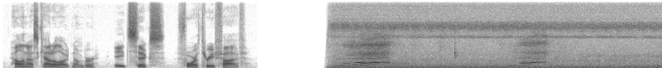 Sickle-billed Vanga - ML86435