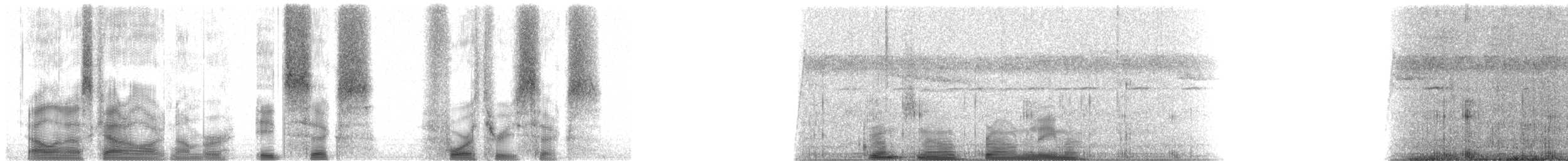 Common Brown Lemur - ML86436