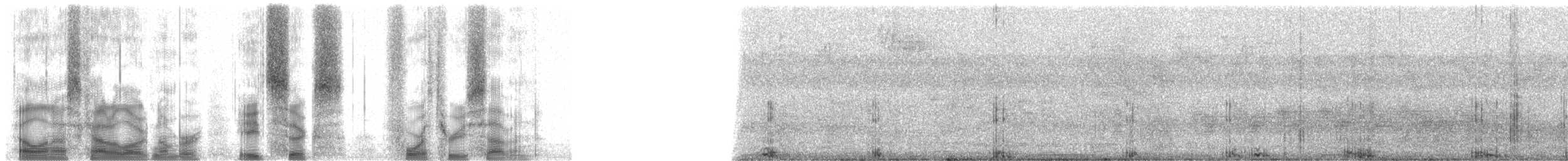 Common Brown Lemur - ML86437