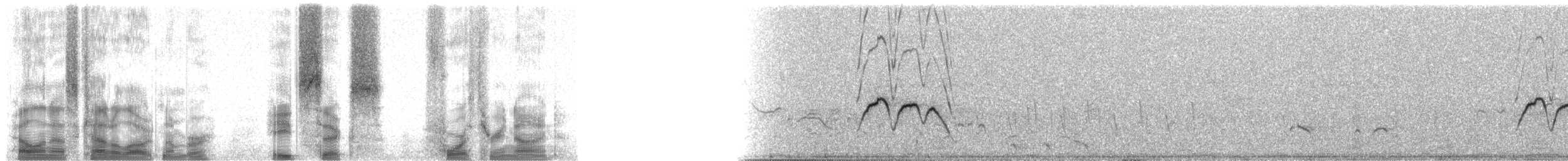 White-faced Whistling-Duck - ML86439