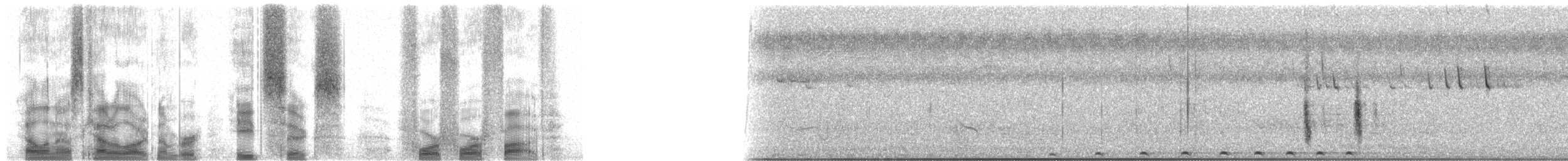 Malagasy Paradise-Flycatcher - ML86445