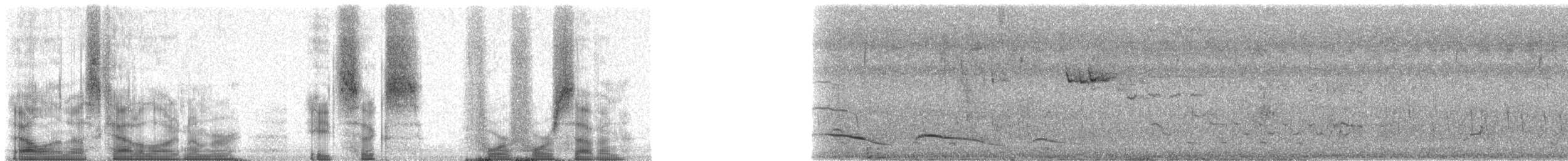 Cuckoo-roller - ML86447