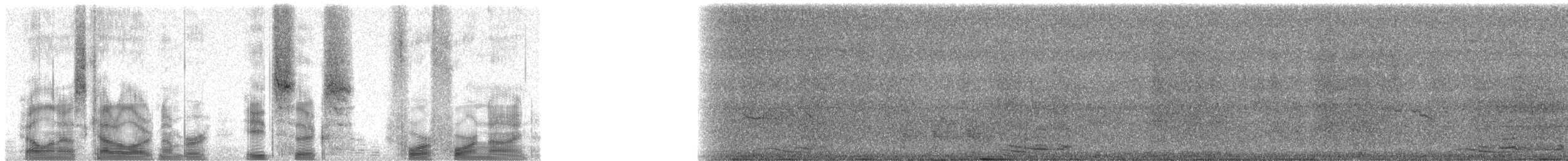 Sickle-billed Vanga - ML86449