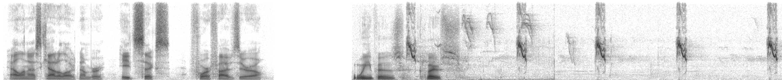 Sakalava Weaver - ML86450