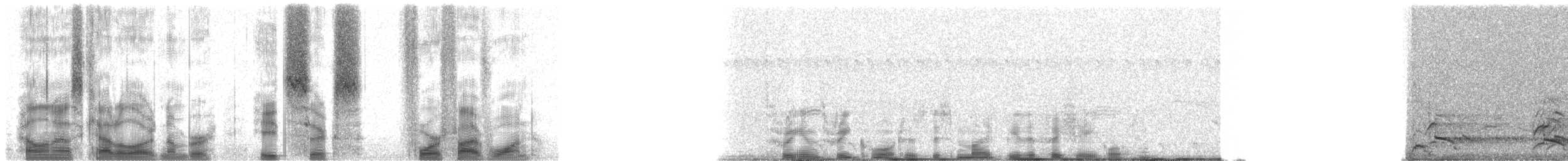 Madagascar Fish-Eagle - ML86451