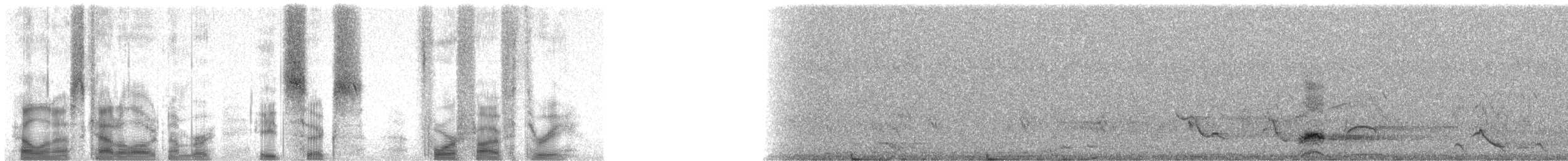 夜鷺(nycticorax) - ML86453