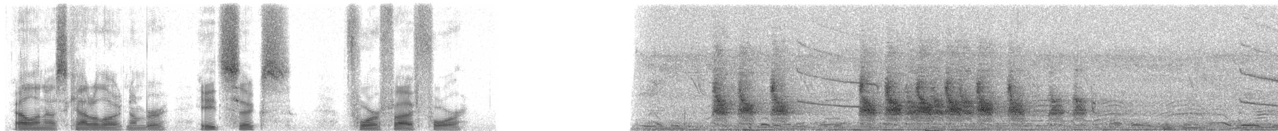 Sickle-billed Vanga - ML86454