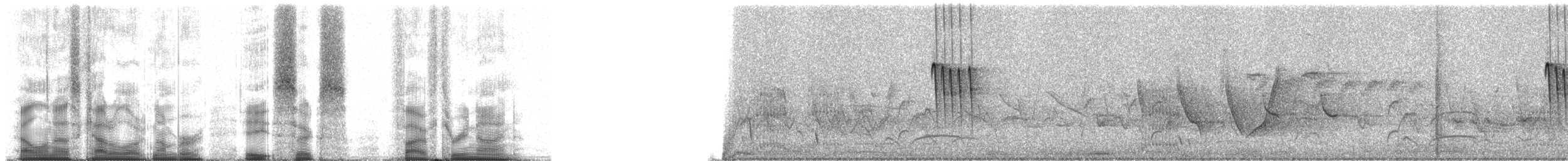 hvitissetyrannulett (munda) - ML86539