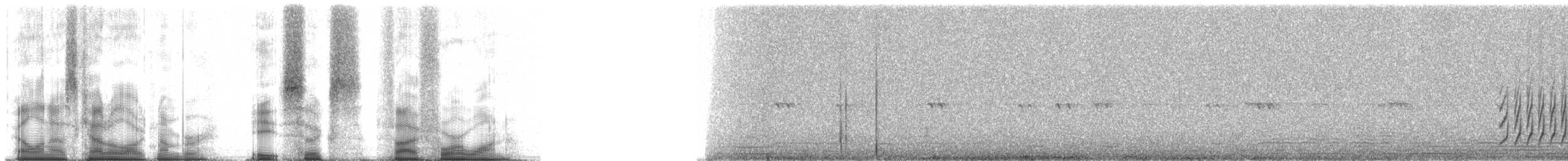 Steinbach's Canastero - ML86541