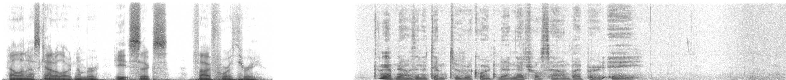 Steinbach's Canastero - ML86543