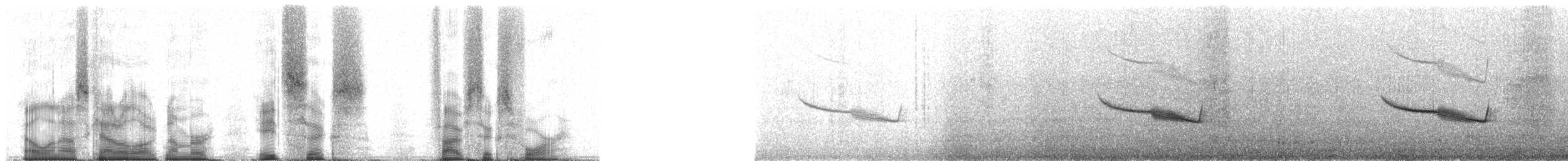 Band-winged Nightjar (Austral) - ML86564