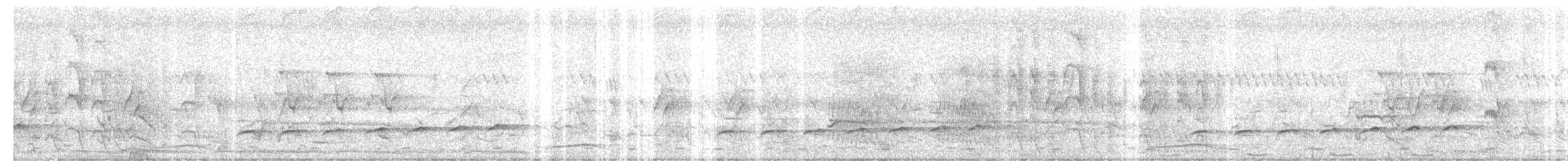 Вилохвостая дронговая кукушка - ML86579111