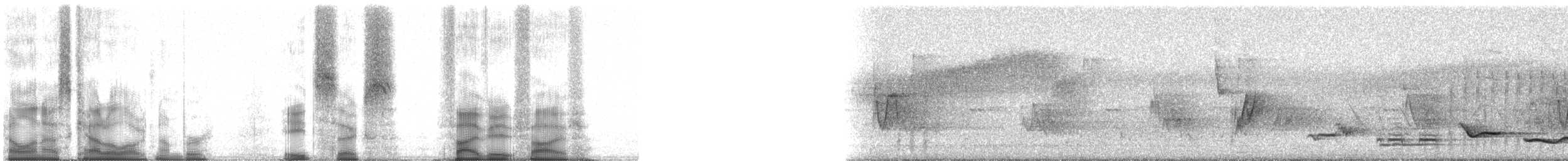 Clay-colored Thrush - ML86585