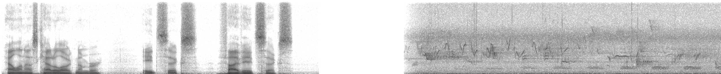 Coppery-tailed Trogon - ML86586