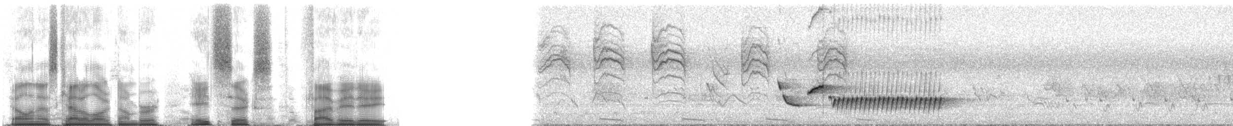 Carolina Wren (Northeast Mexico/South Texas) - ML86588