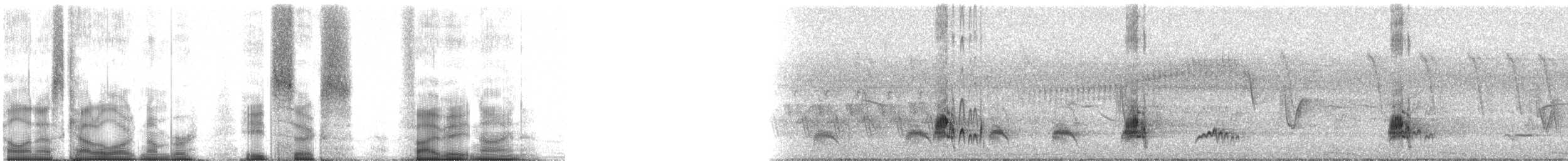 Brown-crested Flycatcher (Cooper's) - ML86589