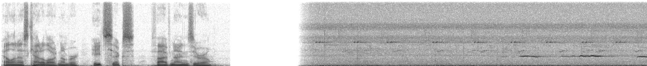 sitrontrupial (graduacauda/audubonii) - ML86590