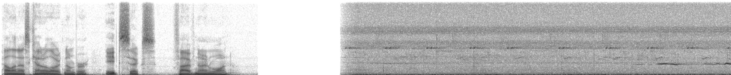 Гіла чорновола [група formicivorus] - ML86591