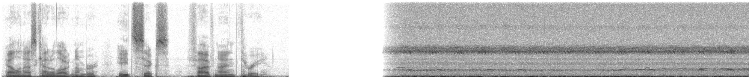 Сичик-горобець гірський (підвид gnoma) - ML86593