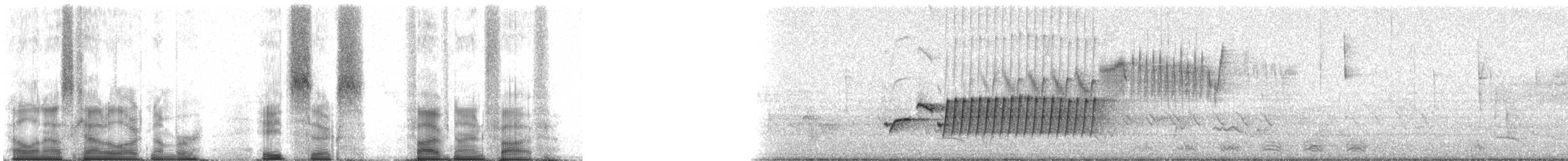 Carolina Wren (Northeast Mexico/South Texas) - ML86595