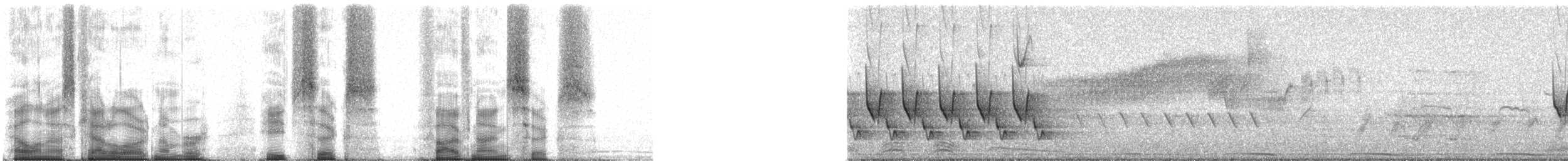 Carolina Wren (Northeast Mexico/South Texas) - ML86596