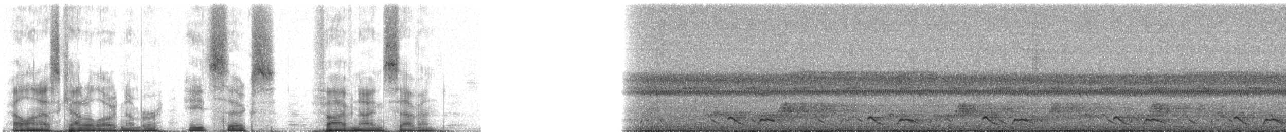 Tawny-collared Nightjar - ML86597