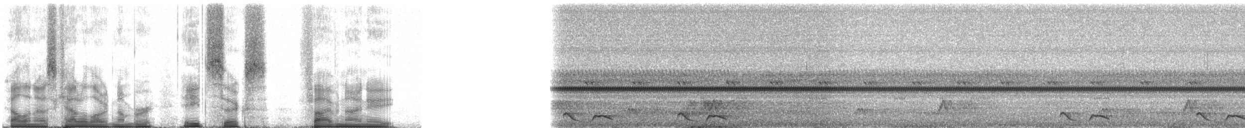 Chotacabras Ticuer - ML86598