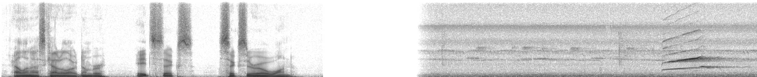 Clay-colored Thrush - ML86601