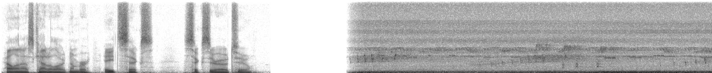 Buff-collared Nightjar - ML86602