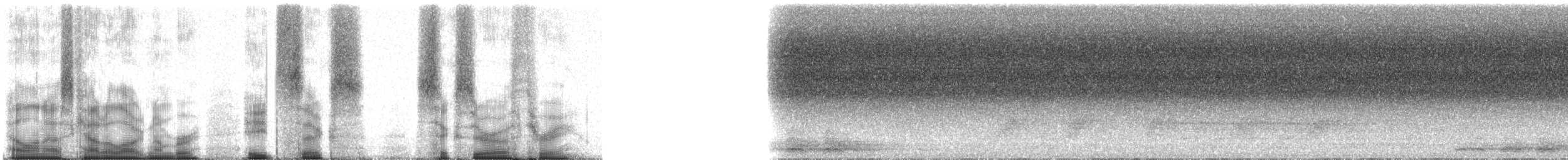 trogon krásný [skupina ambiguus] - ML86603