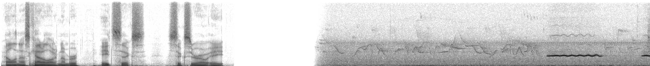 Bearded Wood-Partridge - ML86608