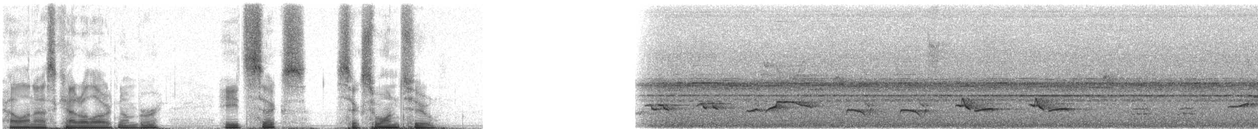 Turdus sp. - ML86612