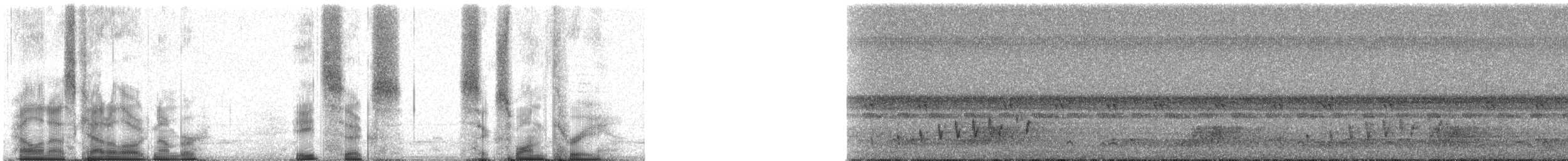 Buff-collared Nightjar - ML86613