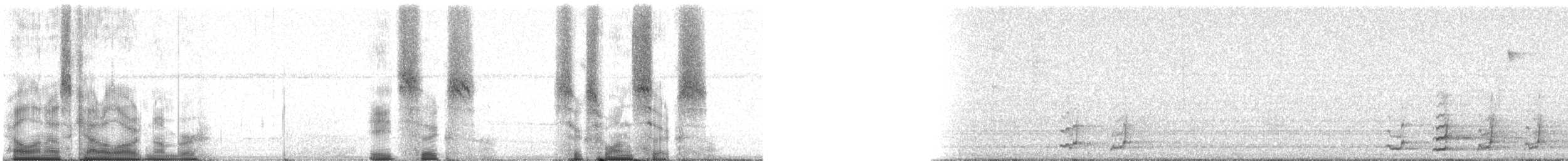 Wild Turkey - ML86616